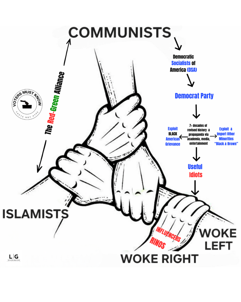 Policy Page dsa graphic(1)